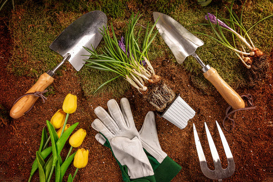 6-Item Checklist: How to Get Your Garden Ready for Spring