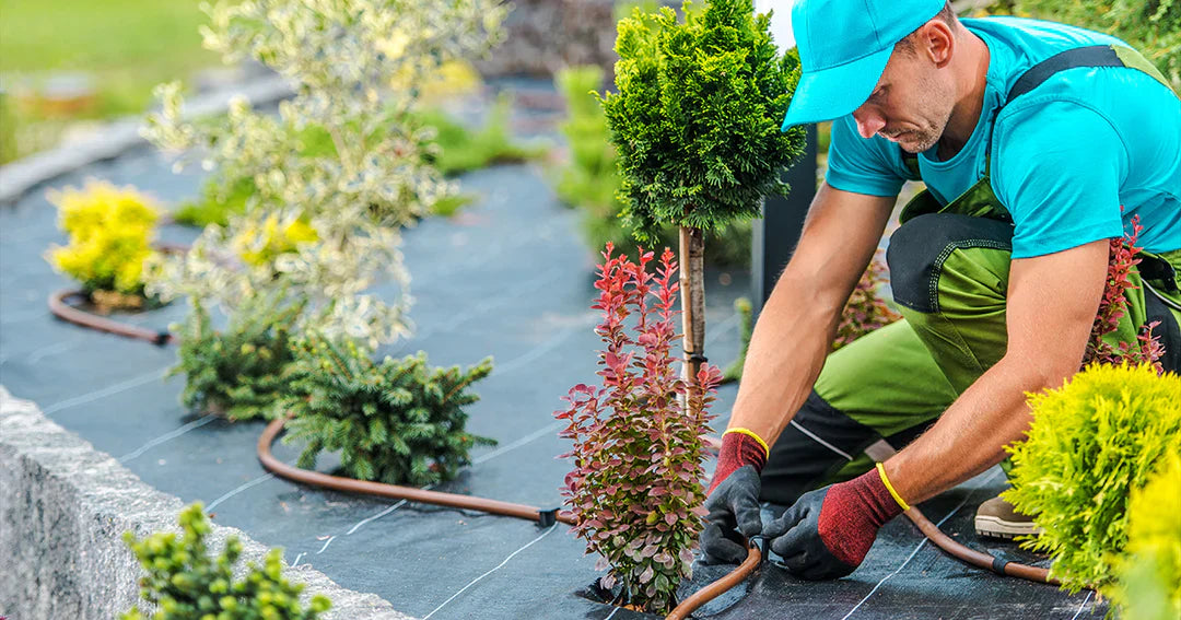 How to Install a Drip Irrigation Kit: A Start-to-Finish Guide