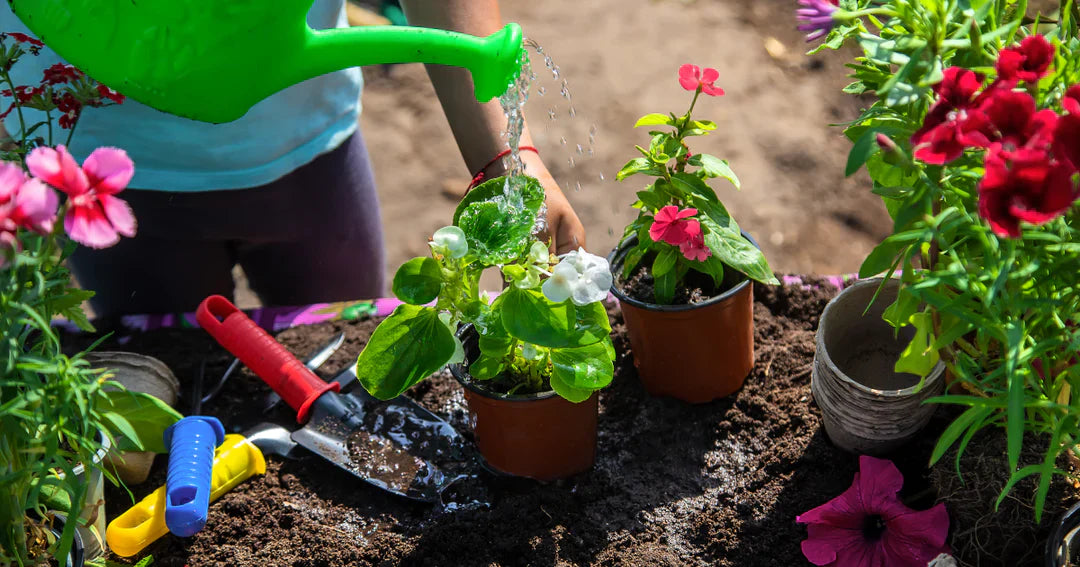 Hard Water, Soft Water, Rainwater: What’s Best for Your Garden?