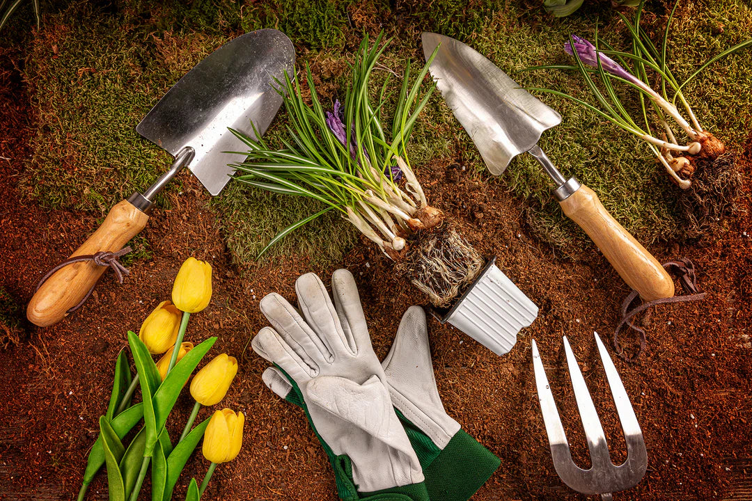 6-Item Checklist: How to Get Your Garden Ready for Spring